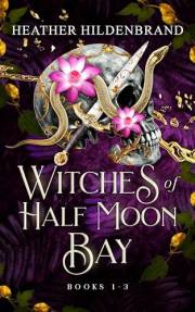 Witches of Half Moon Bay Series Box Set: Books 1-3 (A Witch's Call, A Witch's Destiny, A Witch's Fate) (Witches of Half Moon