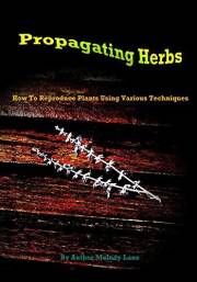 Propagating Herbs: How To Reproduce Plants Using Various Techniques