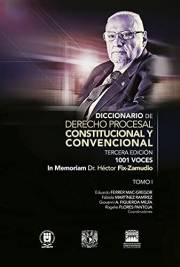 Diccionario de Derecho Procesal Constitucional y Convencional, tercera edición, 1001 voces.: TOMO I (Spanish Edition)