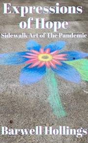 Expressions of Hope: Sidewalk Art Of The Pandemic (Hollings Memoir Series)