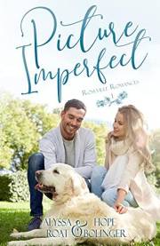 Picture Imperfect (Roseville Romances Book 1)