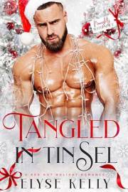 Tangled In Tinsel (Naughty with Spice Holiday Romance Collection)