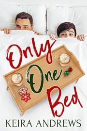 Only One Bed: MM Christmas Romance (Love on the Ice)