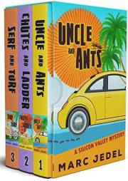Silicon Valley Cozy Mystery Series Box Set: Books 1-3 (Silicon Valley Cozy Mysteries Box Set Book 1)