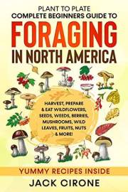 Plant to Plate - Complete Beginners Guide to Foraging in North America: Harvest, Prepare & Eat Wildflowers, Seeds, Weeds, Ber