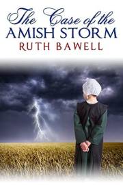 The Case of the Amish Storm: Amish Mystery and Romance (Pinecraft Mysteries Book 5)