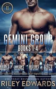 Gemini Group Boxset Books 1-4: A Former Military Romantic Suspense Collection (Gemini Group®)