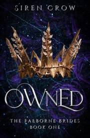 Owned (The Faeborne Brides Book 1)
