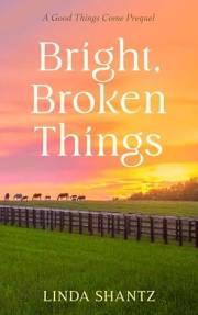 Bright, Broken Things: A coming-of-age horse racing novella (Good Things Come Prequel)