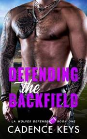 Defending the Backfield: A Sports Romance (LA Wolves Defense Book 1)