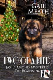 TWO OF A KIND: The Beginning (JAX DIAMOND MYSTERIES Book 4)