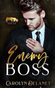 Enemy Boss (Denver Billionaires Book 1)