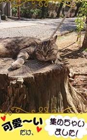 kawaiidakeatumechaimasita shasinshuu (natukawa books) (Japanese Edition) kawaiidakeatumechaimasita shasinshuu (natukawa books) (Japanese Edition)