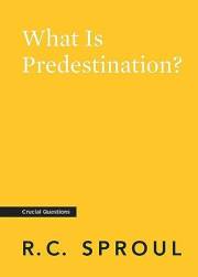 What Is Predestination? (Crucial Questions)