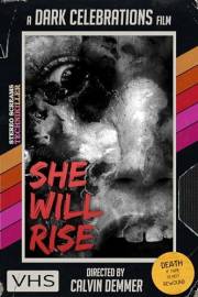 She Will Rise (Dark Celebrations Book 9)