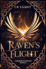 Raven's Flight: urban fantasy novella (The Shadow Guardians)