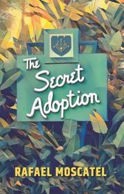 The Secret Adoption: A Family Memoir