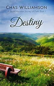 Destiny: A Women's Christian Fiction Second Chance Romance Novel (South Mountain Journeys of Faith Book 1)