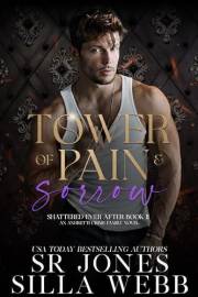 Tower of Pain and Sorrow: An Age Gap Romance (Shattered Ever After Book 2)