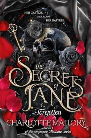 The Secrets of Jane: A Dark Romantasy: Book 1: Forgotten (Improper Bastards)