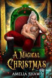A Magical Christmas (Seasonal Paranormal and Fantasy Romances Book 2)