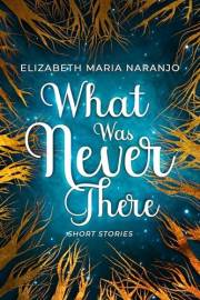 What Was Never There: Short Stories