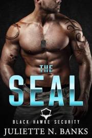 The SEAL: Steamy Military Romance (Black Hawke Security Book 1)