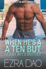 When He’s a 10 But He’s My Wife’s Brother: An M/M Erotic Story