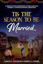 Tis the Season to be Married: A female cook determined to find a job and possibly a husband before Christmas!
