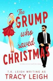 The Grump Who Saved Christmas: An Enemies to Lovers Small Town Romance (Sycamore Falls)