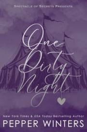 One Dirty Night: A Spectacle of Secrets Spicy Romance