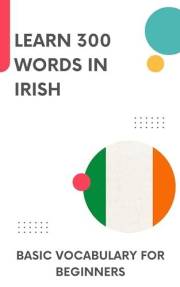 Learn 300 words in Irish: Basic vocabulary for beginners (Time to learn Irish Book 1)