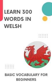 Learn 300 words in Welsh: Basic vocabulary for beginners (Time to learn Welsh Book 1)