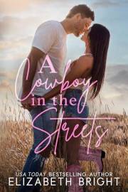 A Cowboy in the Streets (Lodestar Ranch Book 1)