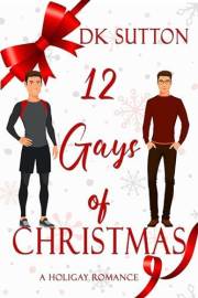 12 Gays of Christmas: A Holigay Romance (Holigay Romances Book 1)