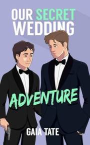 Our Secret Wedding Adventure: MM Romantic Comedy (Miles & Kieran Book 4)