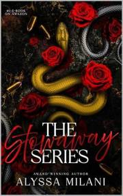 The Stowaway Series : Books 1 - 4