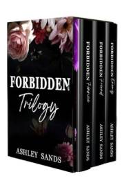 Forbidden Trilogy: A Steamy Vacation Age-Gap Box Set (Forbidden Romance Box Set Book 1)