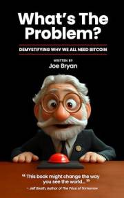 What's the Problem?: Demystifying Why We All Need Bitcoin
