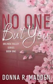No One But You: Small Town Enemies to Lovers (Orlinda Valley)