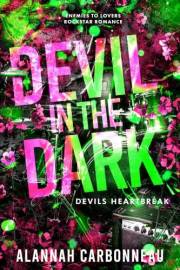 Devil in the Dark : Devils Heartbreak - An Enemies to Lovers Rockstar Romance