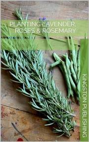 Planting Lavender, Roses & Rosemary (Teas)