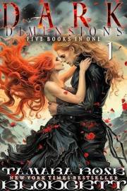 Dark Dimensions: A Gothic Paranormal Romance Starter Box Set (First-in-Series Novels): Supernatural Thrillers with Vampires,