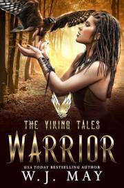 Warrior (The Viking Tales Book 1)