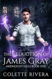 The Seduction of James Gray: An MM Paranormal Romance (Moonlight Falls Book 1)