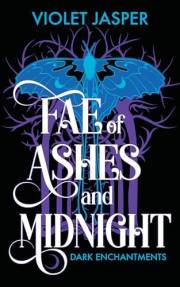 Fae of Ashes and Midnight (Dark Enchantments Book 1)