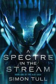 A Spectre in the Stream: Post-Apocalyptic Cyberpunk Fantasy (The Slip Saga Book 1)