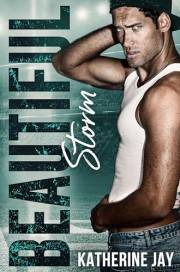 Beautiful Storm (San Francisco End Game Book 1)