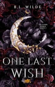 One Last Wish (The Elder World Series #1): A Steamy Fated Mates Romantasy