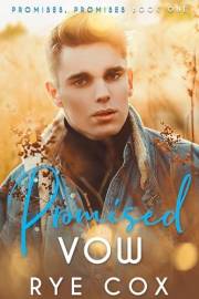 Promised Vow: A Fake Fiancés MM Romance (Promises, Promises Book 1)